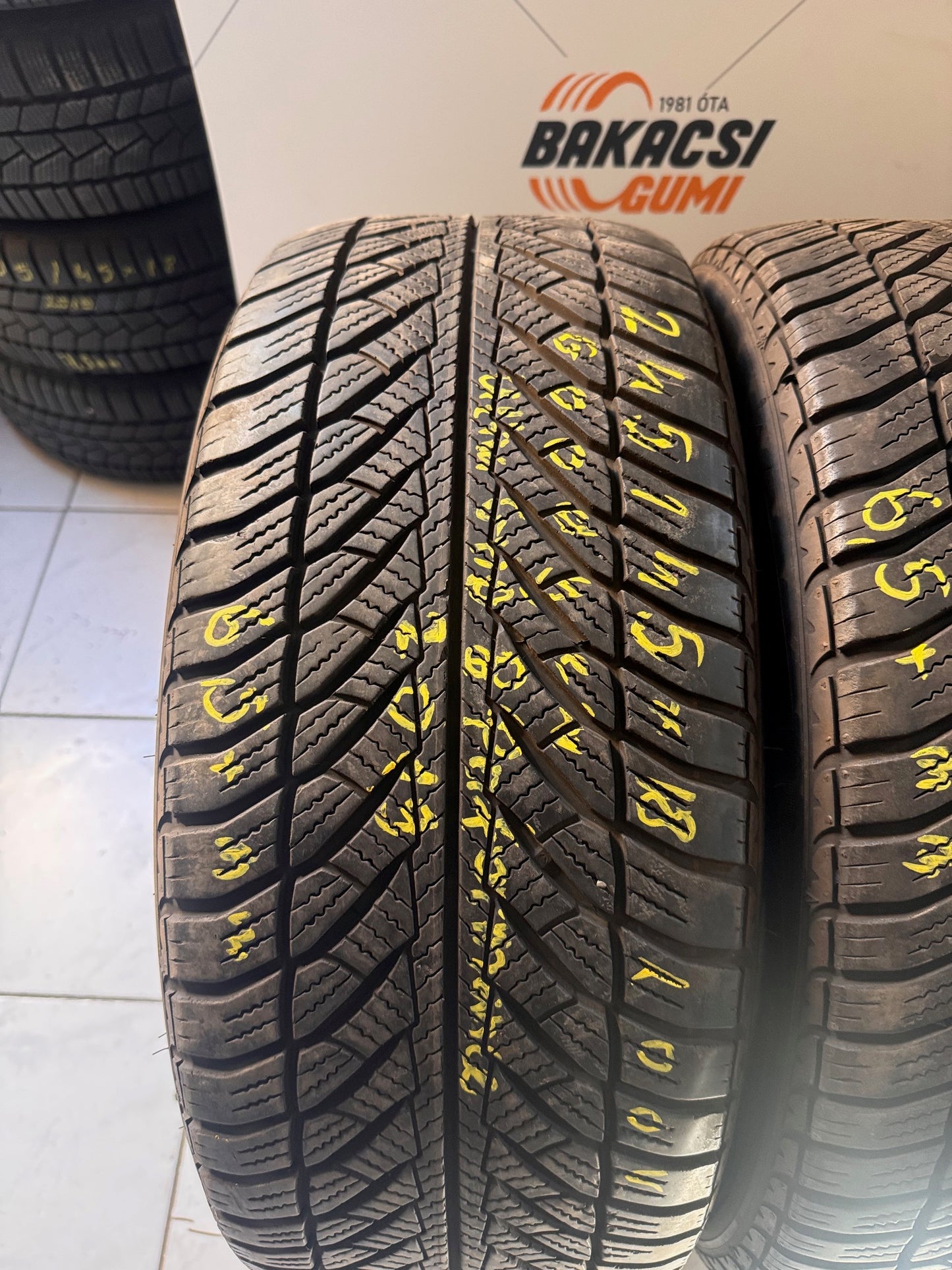 245/45R18 Goodyear téli gumi