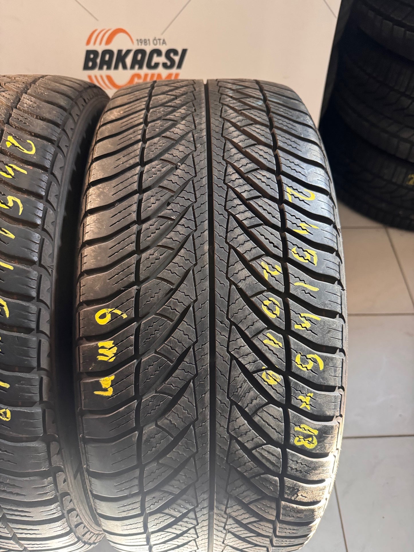 245/45R18 Goodyear téli gumi